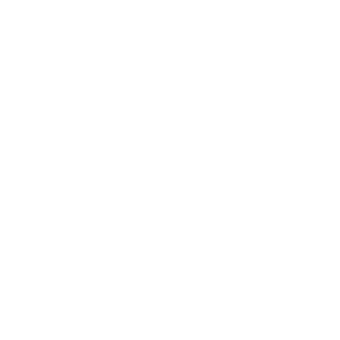 General Authority of Civil Aviation