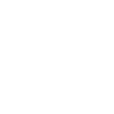Roads & Transport Authority