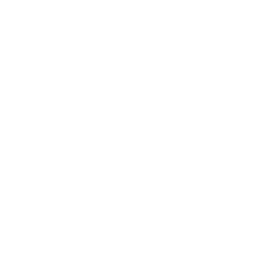 Saudi Falcons Club