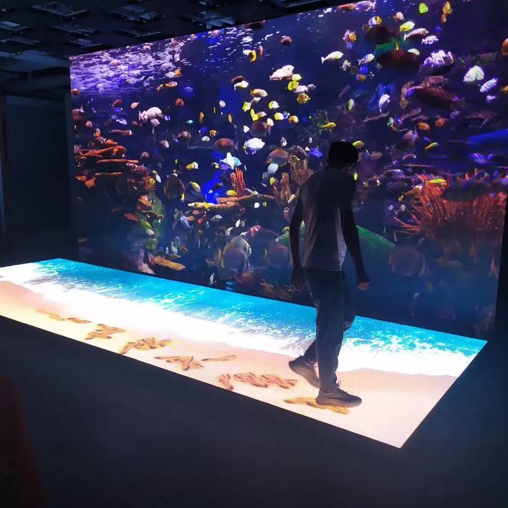 Exhibition showcase